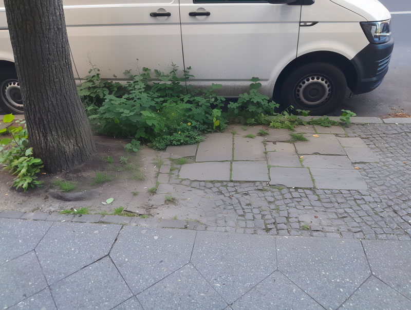 nachher